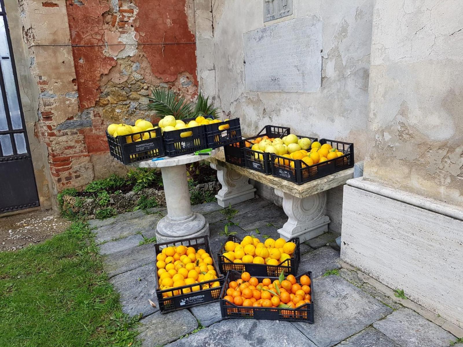 Agriturismo Villa Cavallini Camaiore Luaran gambar