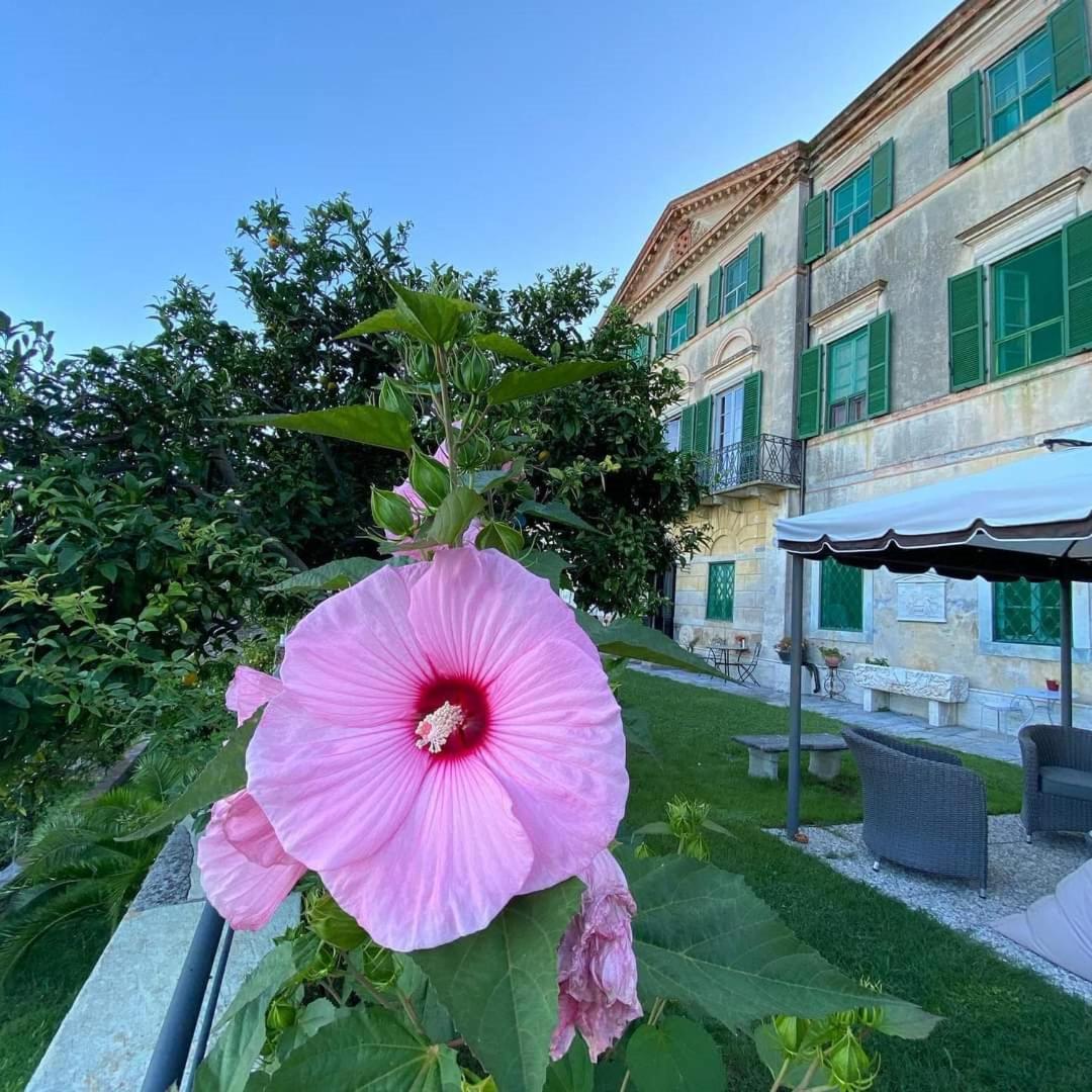 Agriturismo Villa Cavallini Camaiore Luaran gambar